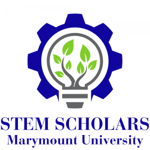 STEM Scholars Program
