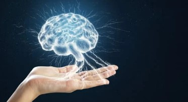 Alzheimer’s Association Education Resources