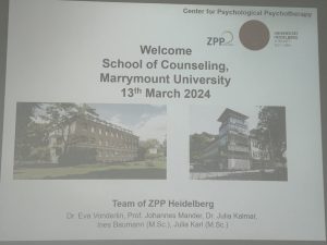 Global Experiences in the School of Counseling