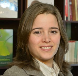 Summer Research Fellowship Director Information