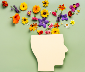 About the Bilingual Telephone Screening Study