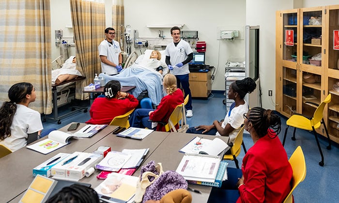 The Health and Education Herald (#7)