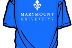 blue shirt image
