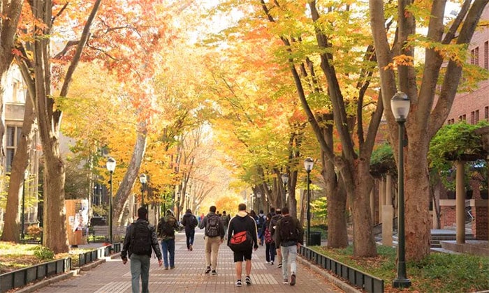 Forbes: How higher education can shape the next generation of leaders