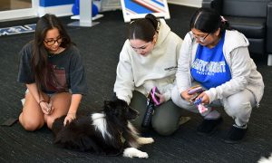 Marymount celebrates 30 years of beloved mascot at inaugural birthday bash