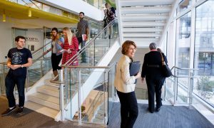 Faculty and students walk down a set of stairs in a bright, window-adjacent stairwell.