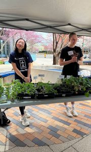 Junior named Newman Civic Fellow for work with food insecurity initiatives, campus garden