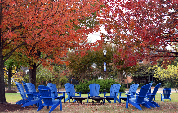 Blue Adirondack chairs are gathered in a circle under a tree with red autumn leaves