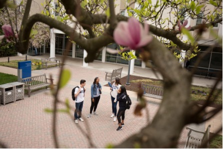 Students stand together talking in the middle of a courtyard, surrounded by benches and trees