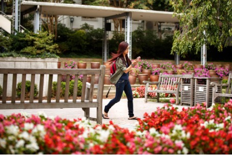 A student walks through a courtyard, surrounded by benches and flowers