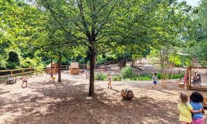 Marymount University’s Early Learning Academy earns recognition as Certified Schoolyard Habitat
